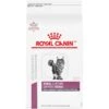 Royal Canin Veterinary Diet Adult Renal Support Early Consult Dry Cat Food 1 Royal Canin Veterinary Diet Adult Renal Support Early Consult Dry Cat Food -Furry Friends 278911 MAIN. AC SS1800 V1701881712