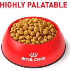 Royal Canin Veterinary Diet Adult Renal Support Early Consult Dry Cat Food -Furry Friends 278911 PT2. AC SS1800 V1701881831