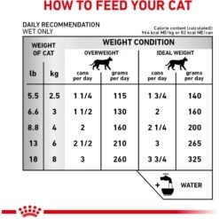 Royal Canin Veterinary Diet Adult Renal Support Early Consult Loaf In Sauce Canned Cat Food -Furry Friends 278913 PT5. AC SS1800 V1701882070