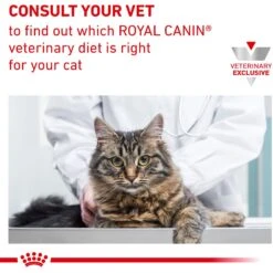 Royal Canin Veterinary Diet Adult Renal Support Early Consult Loaf In Sauce Canned Cat Food -Furry Friends 278913 PT8. AC SS1800 V1701881225