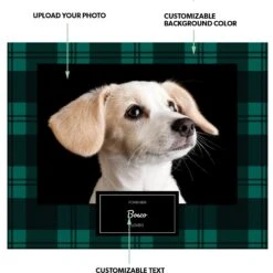 Frisco Personalized Buffalo Plaid 8 X 10 Gallery-Wrapped Canvas - Landscape -Furry Friends 279054 PT1. AC SS1800 V1629145922