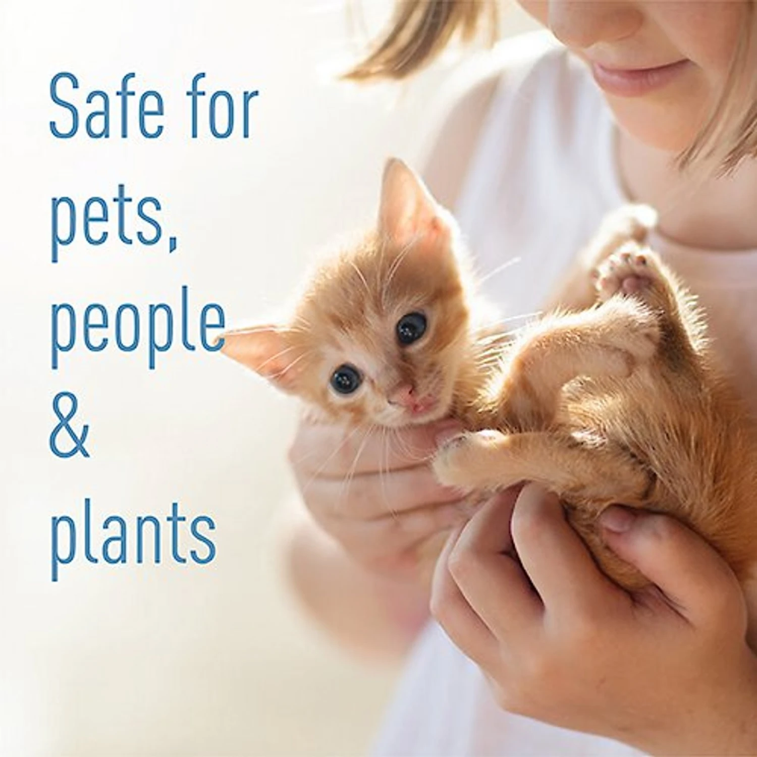 Messy Pet Cat Stain & Odor Remover, 27-oz Bottle 9 Messy Pet Cat Stain & Odor Remover, 27-oz Bottle - Image 7