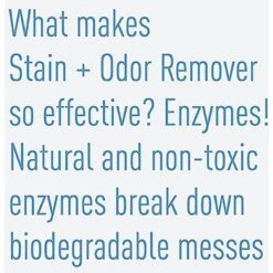 Messy Pet Cat Stain & Odor Remover, 27-oz Bottle 18 Messy Pet Cat Stain & Odor Remover, 27-oz Bottle -Furry Friends 279368 PT7. AC SS1800 V1618006920