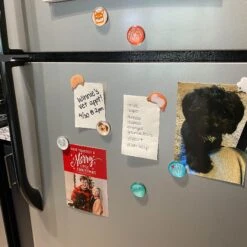 Pearhead Dog Magnets -Furry Friends 279388 PT4. AC SS1800 V1630454186