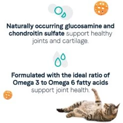 CANIDAE Goodness For Joints Real Salmon Adult Dry Cat Food -Furry Friends 279814 PT3. AC SS1800 V1615422808