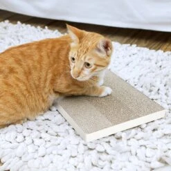 Way Basics ZBoard Paperboard Simple Scratcher Cat Toy