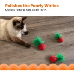 Catstages Straw-Babies Catnip Dental Cat Toy, 3 Count -Furry Friends 282256 PT3. AC SS1800 V1631687810