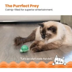 Catstages Wobble Turtle Catnip Diffuser Cat Toy -Furry Friends 282261 PT1. AC SS1800 V1636500163