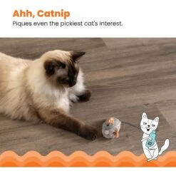 Catstages Squeak Squeak Mouse Cat Toy -Furry Friends 282263 PT3. AC SS1800 V1636512259