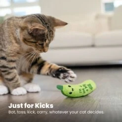 Catstages Crunchy Pickle Kicker Plush Cat Toy With Catnip 13 Catstages Crunchy Pickle Kicker Plush Cat Toy With Catnip -Furry Friends 282267 PT5. AC SS1800 V1682521227