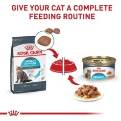 Royal Canin Feline Care Nutrition Urinary Care Thin Slices In Gravy Canned Cat Food -Furry Friends 282769 PT5. AC SS1800 V1697758592