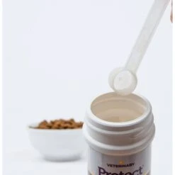 Veterinary Select Protect Healthy Mind Probiotic Cat Supplement, 2.12-oz Jar 19 Veterinary Select Protect Healthy Mind Probiotic Cat Supplement, 2.12-oz Jar -Furry Friends 283173 PT8. AC SS1800 V1617806497