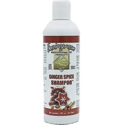 Envirogroom Ginger Spice 50:1 Dog & Cat Shampoo, 17-oz Bottle