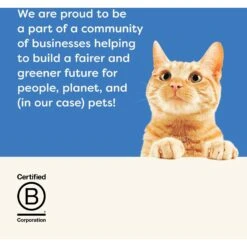 Applaws Tuna Fillet In Broth Wet Kitten Food -Furry Friends 286445 PT6. AC SS1800 V1658152792