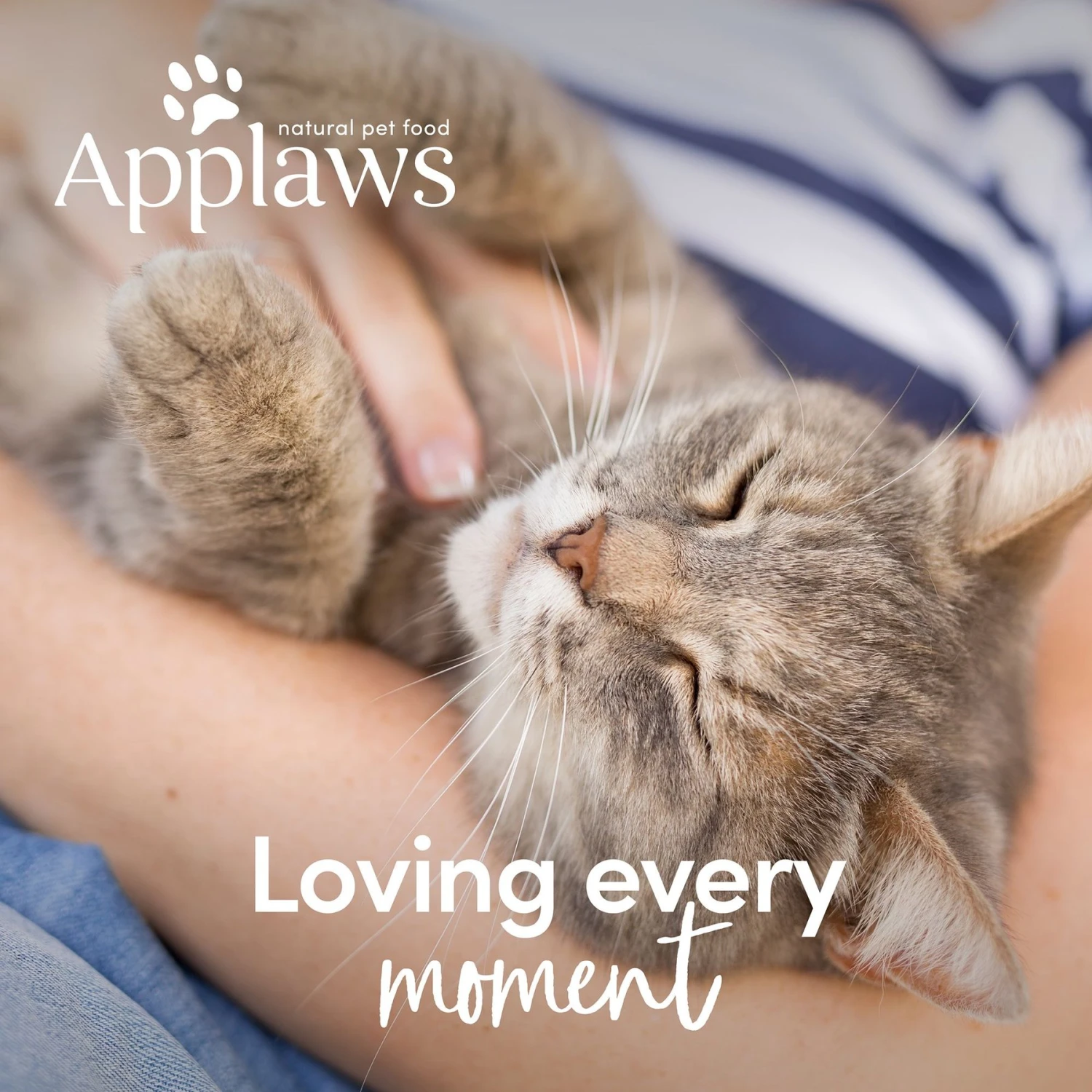 Applaws Catfish With Pollock In Broth Wet Cat Food, 2.47-oz Can, Case Of 24 9 Applaws Catfish With Pollock In Broth Wet Cat Food, 2.47-oz Can, Case Of 24 - Image 7