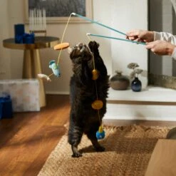 Frisco Holiday Hanukkah Teaser Cat Toy With Catnip, 2 Count 9 Frisco Holiday Hanukkah Teaser Cat Toy With Catnip, 2 Count -Furry Friends 287277 PT3. AC SS1800 V1632771712