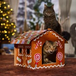 Frisco Holiday Gingerbread House Cardboard Cat House Cat Toy 12 Frisco Holiday Gingerbread House Cardboard Cat House Cat Toy -Furry Friends 287289 PT4. AC SS1800 V1694813217