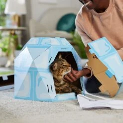 Frisco Igloo Cardboard Cat House -Furry Friends 287293 PT3. AC SS1800 V1692035199