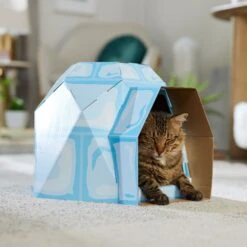 Frisco Igloo Cardboard Cat House -Furry Friends 287293 PT4. AC SS1800 V1692035193