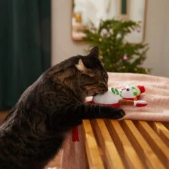 Frisco Naughty Or Nice Snowman Reversible Plush Cat Toy With Catnip -Furry Friends 287387 PT3. AC SS1800 V1632774541