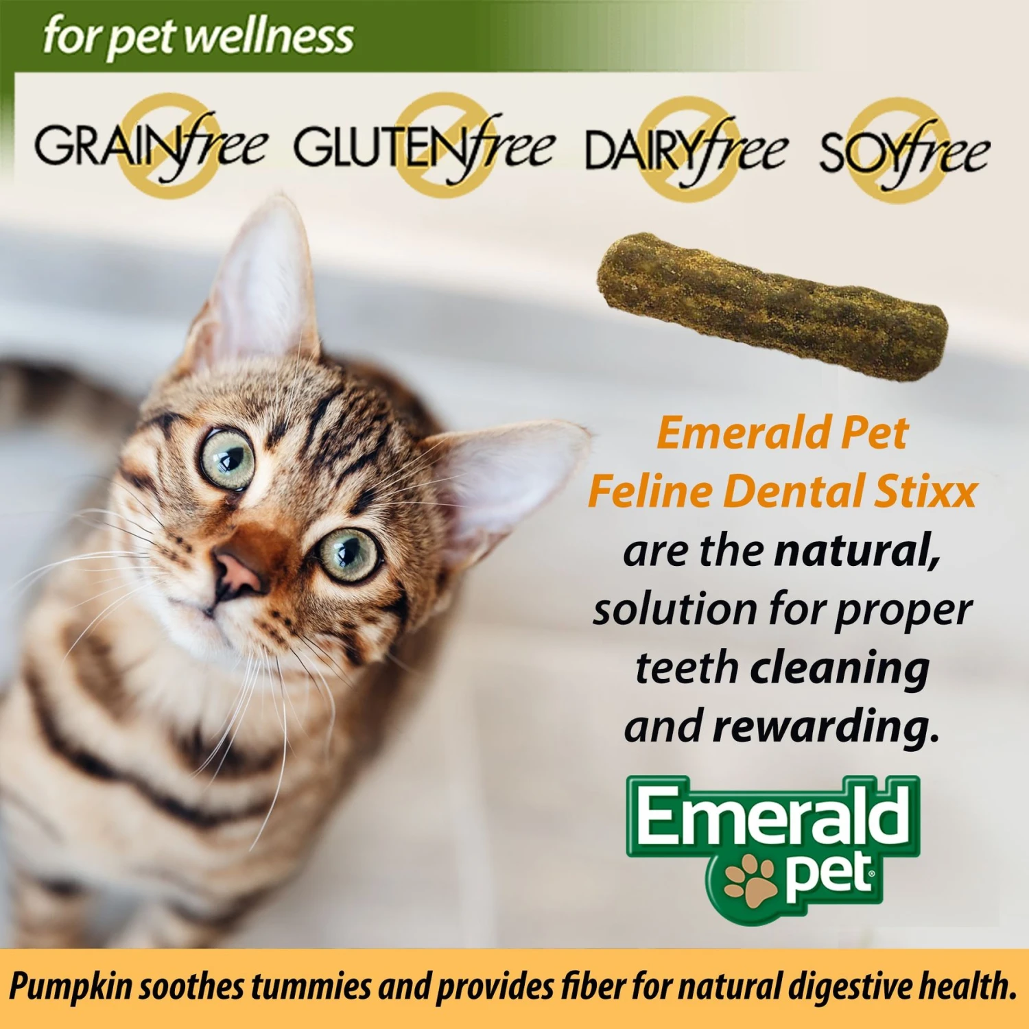 Emerald Pet Feline Dental Stixx With Salmon & Pumpkin Grain-Free Dental Cat Treats, 3.6-oz Bag 8 Emerald Pet Feline Dental Stixx With Salmon & Pumpkin Grain-Free Dental Cat Treats, 3.6-oz Bag - Image 6