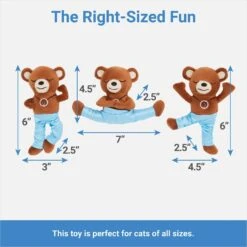 Frisco New Year, New Me Namaste Bear Plush Cat Toy With Catnip -Furry Friends 288947 PT1. AC SS1800 V1640722431