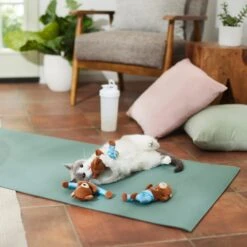 Frisco New Year, New Me Namaste Bear Plush Cat Toy With Catnip -Furry Friends 288947 PT3. AC SS1800 V1638289414