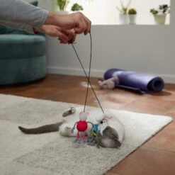 Frisco New Year, New Me Gym Bouncy Mice Plush Cat Toy With Catnip -Furry Friends 288949 PT3. AC SS1800 V1638289802