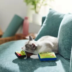 Frisco Protein Bar & Gym Membership Plush Cat Toy With Catnip -Furry Friends 288951 PT3. AC SS1800 V1638290814