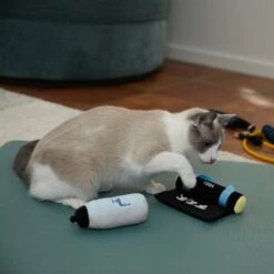 Frisco Yoga Mat & Water Bottle Plush Cat Toy With Catnip, 2 Count 7 Frisco Yoga Mat & Water Bottle Plush Cat Toy With Catnip, 2 Count -Furry Friends 288955 PT3. AC SS1800 V1638289648