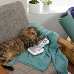 Frisco Scale & Message Bubble Plush Cat Toy With Catnip, 2 Count -Furry Friends 288959 PT3. AC SS1800 V1638288401