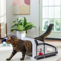 Frisco Treadmill Cardboard Cat House -Furry Friends 288967 PT3. AC SS1800 V1638288289