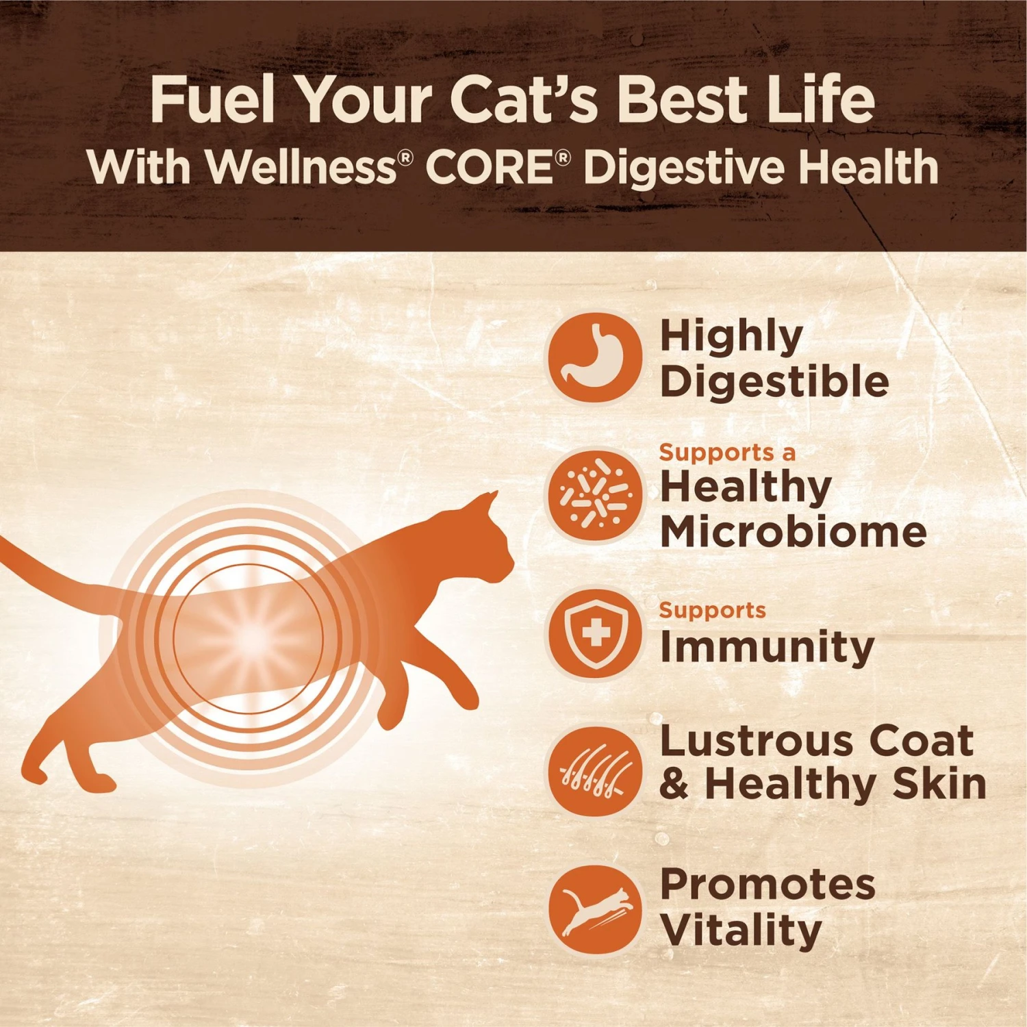 Wellness CORE Digestive Health Salmon Pate Recipe Grain-Free Wet Cat Food, 3-oz, Case Of 12 & Wellness CORE Digestive Health Wholesome Grains Salmon & Rice Recipe Dry Cat Food 7 Wellness CORE Digestive Health Salmon Pate Recipe Grain-Free Wet Cat Food, 3-oz, Case Of 12 & Wellness CORE Digestive Health Wholesome Grains Salmon & Rice Recipe Dry Cat Food - Image 5
