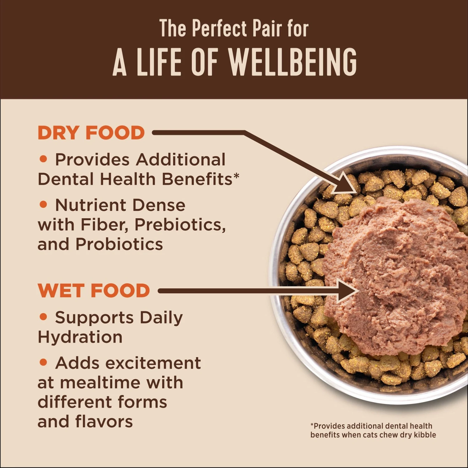 Wellness CORE Digestive Health Chicken Pate Recipe Grain-Free Wet Cat Food, 3-oz, Case Of 12 & Wellness CORE Digestive Health Wholesome Grains Chicken & Rice Recipe Dry Cat Food 6 Wellness CORE Digestive Health Chicken Pate Recipe Grain-Free Wet Cat Food, 3-oz, Case Of 12 & Wellness CORE Digestive Health Wholesome Grains Chicken & Rice Recipe Dry Cat Food - Image 4