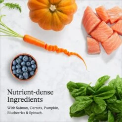 American Journey Salmon Recipe Grain-Free Dry Cat Food & Blue Buffalo Wilderness Salmon Recipe Grain-Free Dry Cat Food -Furry Friends 292626 PT3. AC SS1800 V1666839489