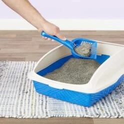 Arm & Hammer Litter Cat Litter Deodorizer Powder & Arm & Hammer Litter Slide Multi-Cat Scented Clumping Clay Cat Litter -Furry Friends 292662 PT7. AC SS1800 V1619998628