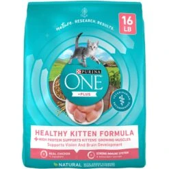 Purina ONE +Plus Healthy Kitten Formula Natural Dry Cat Food & Fancy Feast Tender Feast Variety Pack Canned Kitten Food -Furry Friends 293522 PT5. AC SS1800 V1679925356