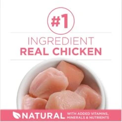 Purina ONE +Plus Healthy Kitten Formula Natural Dry Cat Food & Fancy Feast Tender Feast Variety Pack Canned Kitten Food -Furry Friends 293522 PT8. AC SS1800 V1679927722