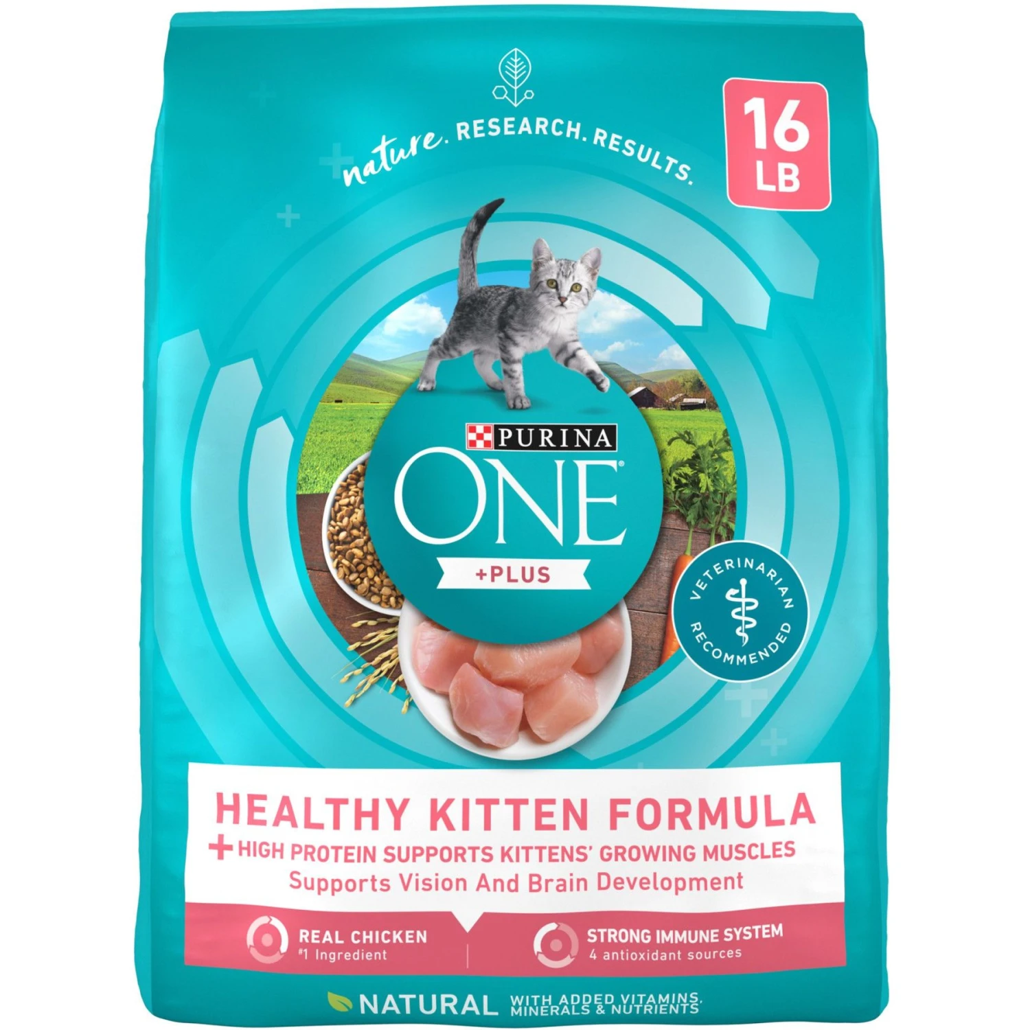 Purina ONE +Plus Healthy Kitten Formula Natural Dry Cat Food & Purina Pro Plan Focus Kitten Favorites Variety Pack Canned Cat Food 4 Purina ONE +Plus Healthy Kitten Formula Natural Dry Cat Food & Purina Pro Plan Focus Kitten Favorites Variety Pack Canned Cat Food - Image 2