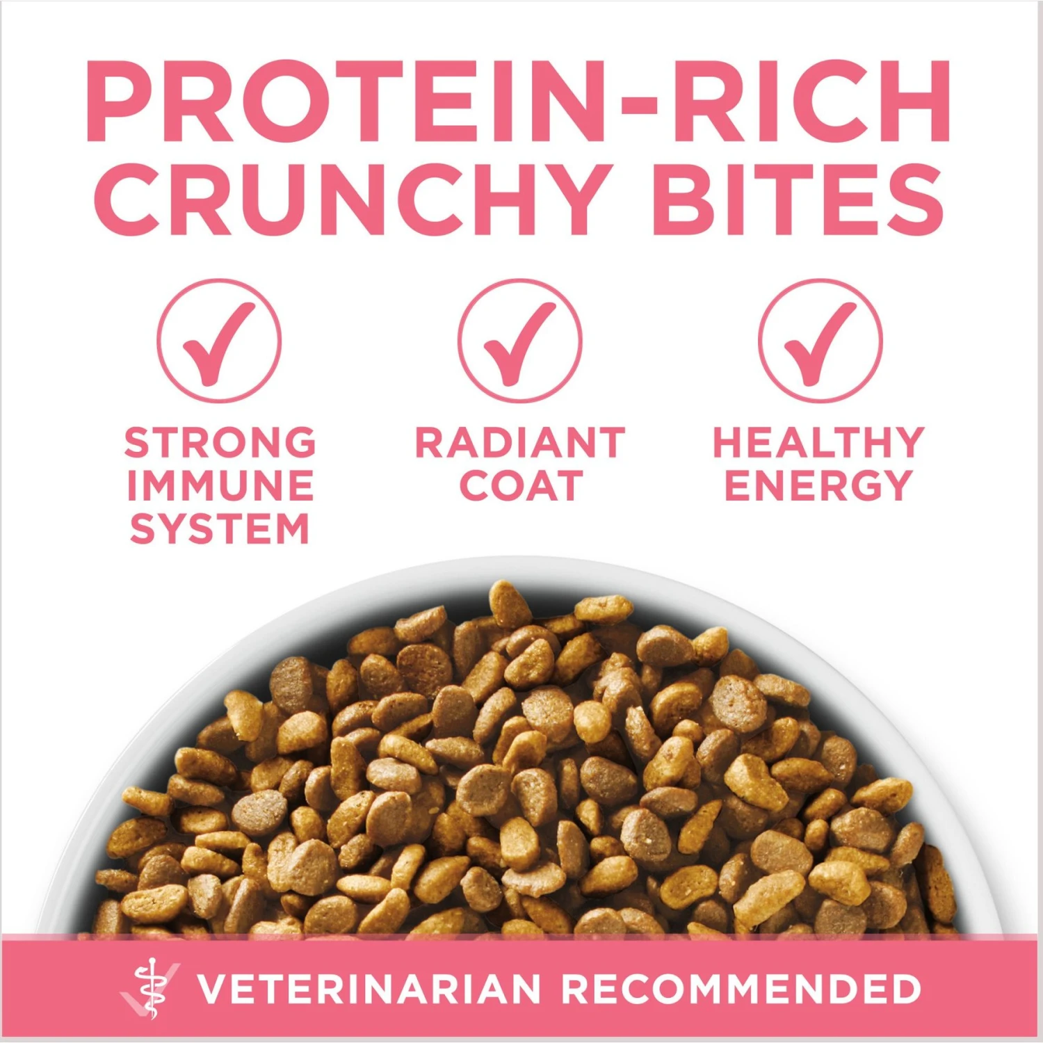 Purina ONE +Plus Healthy Kitten Formula Natural Dry Cat Food & Purina Pro Plan Focus Kitten Favorites Variety Pack Canned Cat Food 7 Purina ONE +Plus Healthy Kitten Formula Natural Dry Cat Food & Purina Pro Plan Focus Kitten Favorites Variety Pack Canned Cat Food - Image 5