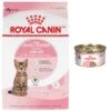 Royal Canin Feline Health Nutrition Kitten Spayed/Neutered Dry Cat Food & Royal Canin Feline Health Nutrition Thin Slices In Gravy Wet Kitten Food -Furry Friends 293766 MAIN. AC SS1800 V1678973918