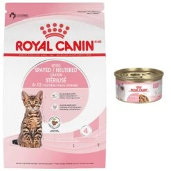 Royal Canin Feline Health Nutrition Kitten Spayed/Neutered Dry Cat Food & Royal Canin Feline Health Nutrition Thin Slices In Gravy Wet Kitten Food