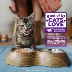 Wellness Complete Health Kitten Chicken Entree Recipe Natural Canned Cat Food & Wellness CORE Natural Grain-Free Turkey & Chicken Liver Pate Canned Kitten Food -Furry Friends 294276 PT4. AC SS1800 V1621991252