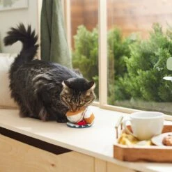 Frisco Brunch Teacup Plush Cat Toy With Catnip -Furry Friends 297292 PT2. AC SS1800 V1642088843