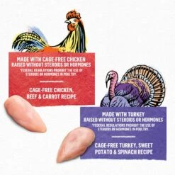 Purina Beyond Chicken & Turkey Variety Pack Wet Cat Food, 3-oz Can, Case Of 12 -Furry Friends 297540 PT2. AC SS1800 V1699369644