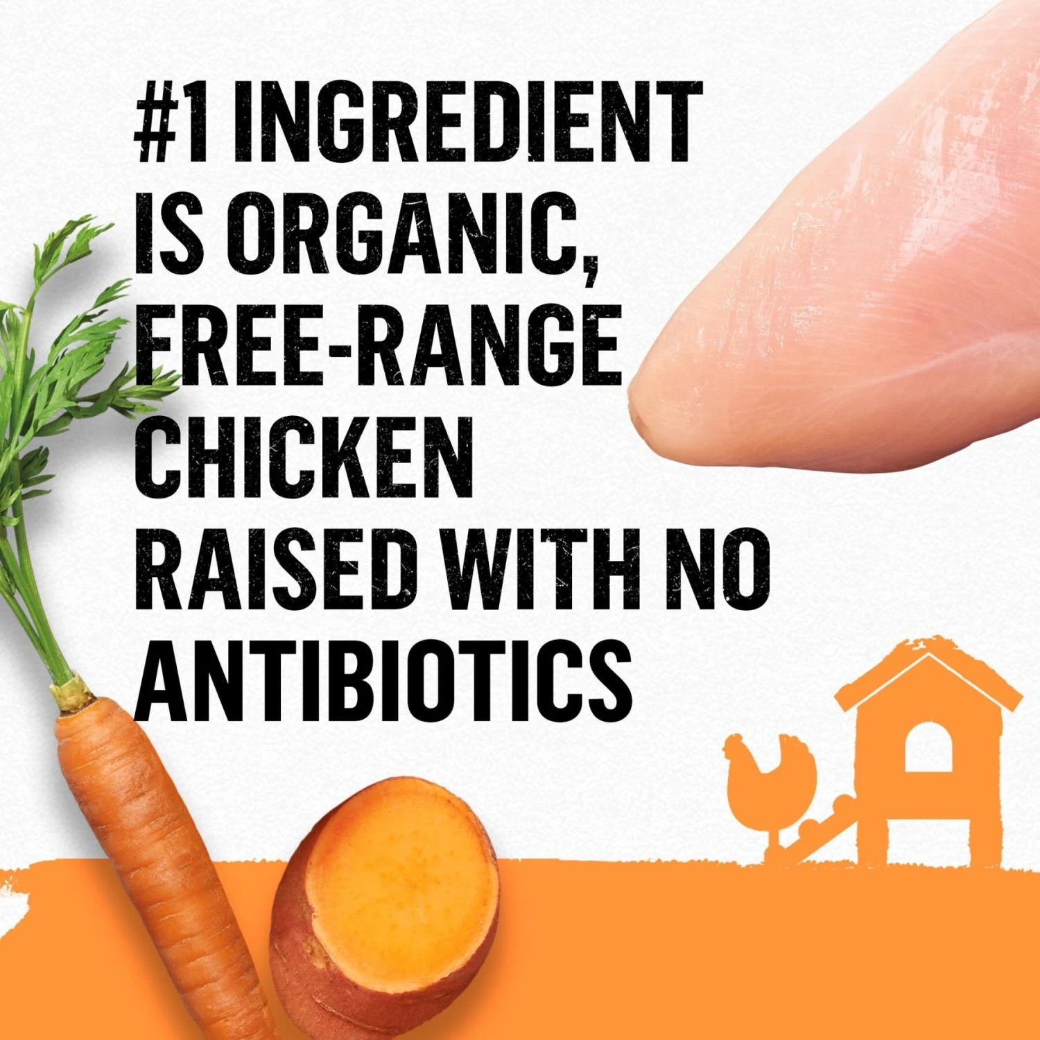 Purina Beyond Organic Chicken Variety Pack Pate Wet Cat Food, 3-oz Can, Case Of 6 7 Purina Beyond Organic Chicken Variety Pack Pate Wet Cat Food, 3-oz Can, Case Of 6 - Image 5