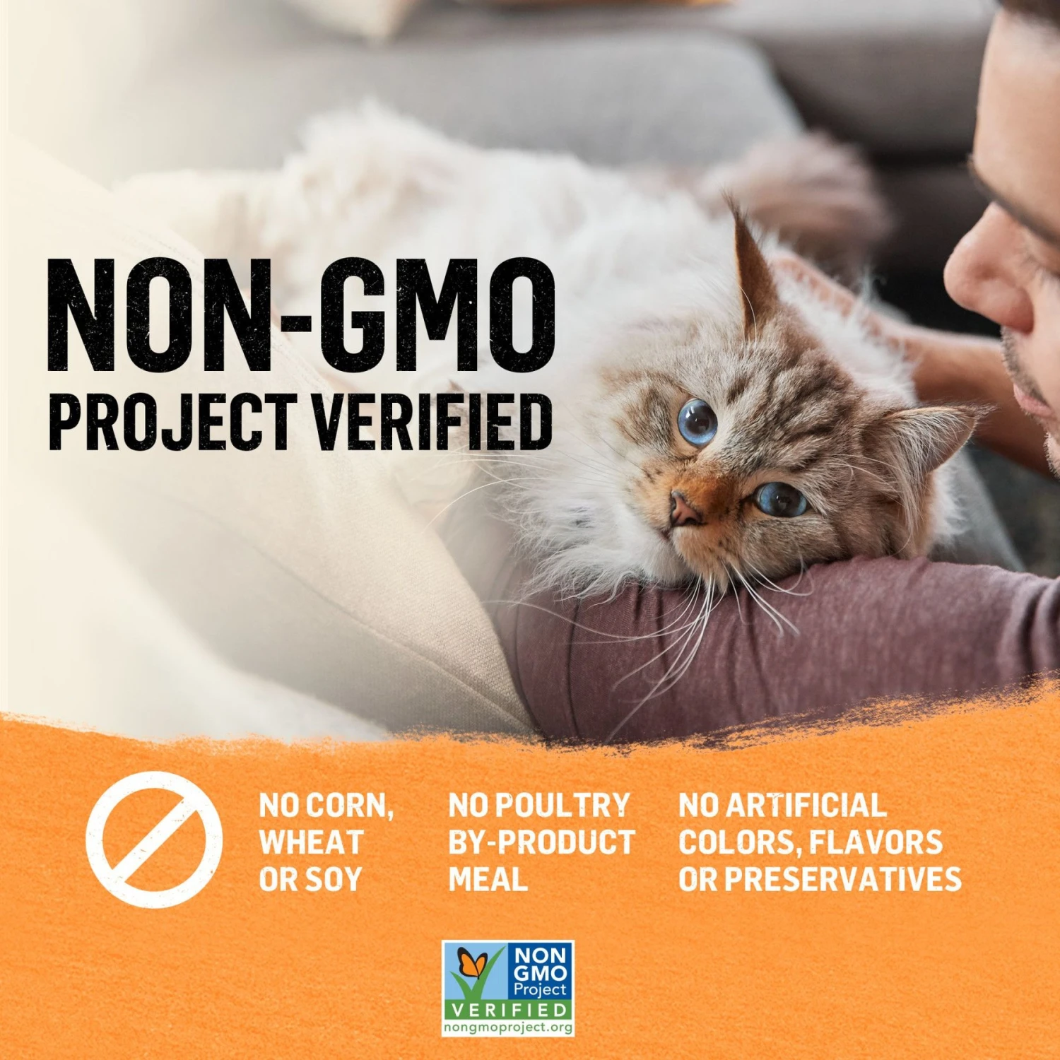 Purina Beyond Organic Chicken Variety Pack Pate Wet Cat Food, 3-oz Can, Case Of 6 10 Purina Beyond Organic Chicken Variety Pack Pate Wet Cat Food, 3-oz Can, Case Of 6 - Image 8