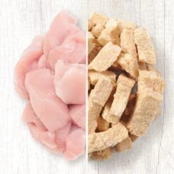 American Journey Salmon Recipe Grain-Free Dry Cat Food & American Journey 100% Chicken Freeze-Dried Grain-Free Cat Treats -Furry Friends 297814 PT7. AC SS1800 V1694613324