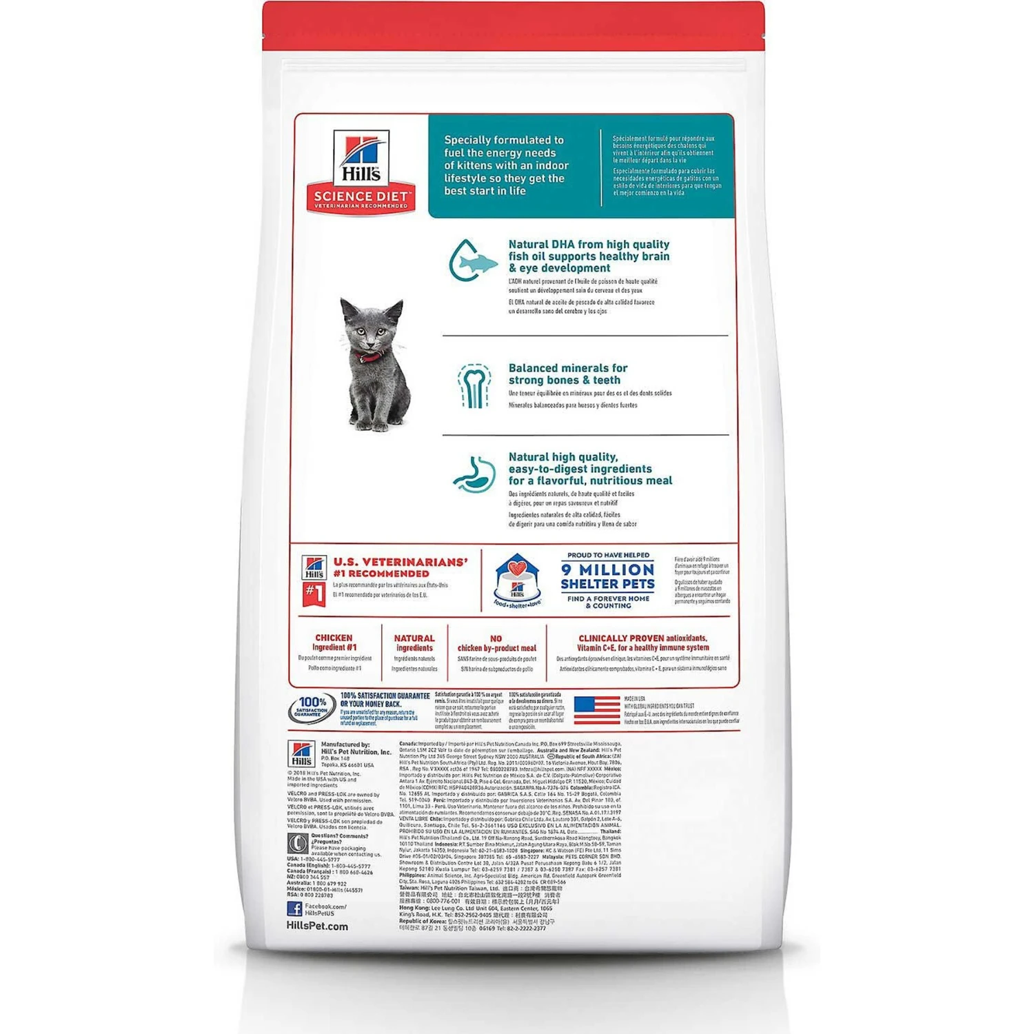 Hill's Science Diet Kitten Healthy Cuisine Tender Chicken & Rice Medley Canned Cat Food & Hill's Science Diet Indoor Kitten Dry Cat Food 8 Hill's Science Diet Kitten Healthy Cuisine Tender Chicken & Rice Medley Canned Cat Food & Hill's Science Diet Indoor Kitten Dry Cat Food - Image 6