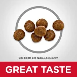 Hill's Science Diet Kitten Healthy Cuisine Tender Chicken & Rice Medley Canned Cat Food & Hill's Science Diet Indoor Kitten Dry Cat Food 15 Hill's Science Diet Kitten Healthy Cuisine Tender Chicken & Rice Medley Canned Cat Food & Hill's Science Diet Indoor Kitten Dry Cat Food -Furry Friends 298098 PT6. AC SS1800 V1621287765